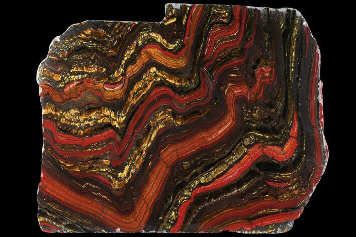 Polished Tiger Iron Stromatolite - ( Billion Years) #95909